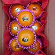 サクサク食感+上品な甘さの柿　太秋柿