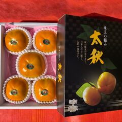 サクサク食感+上品な甘さの柿【ギフト用】太秋柿　約２ｋｇ　５～６玉