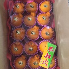 甘いデコポンの見分け方