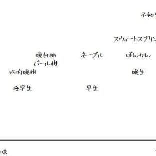 みかんの味　酸味・甘み・旨みで比較