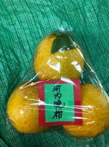河内晩柑　ジューシーオレンジ