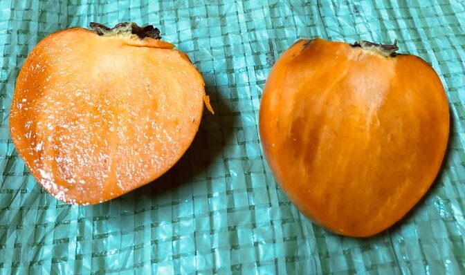 サクサク食感+上品な甘さの柿【ギフト用】太秋柿 約２ｋｇ ５～６玉